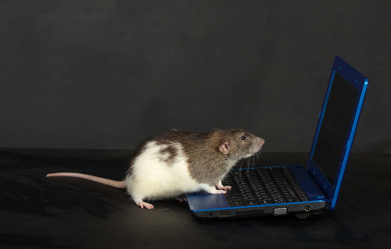 what-you-need-to-know-about-zuorat-malware-mbl-technologies